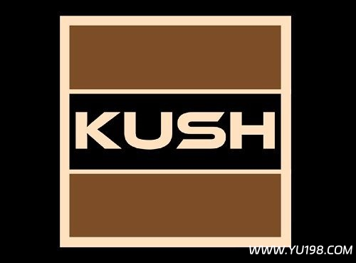 插件包自动安装版 Kush Audio RePack Auto-installation WIN-YU198-音频办公资源项目分享