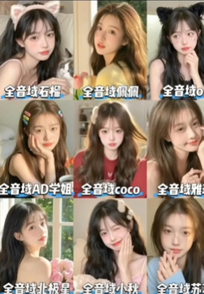 RVC女声全音域48K模型合集 石榴 佩佩 oi AD学姐 CoCo 雅琳 北极星 小秋 苏苏9款-YU198-音频办公资源项目分享