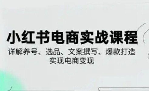 小红书从0-1实操课(2023-2025)，详解养号、选品、文案撰写、爆款打造实现电商变现-雨创网-优质项目资源分享平台
