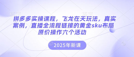 拼多多实操课程，飞龙在天玩法，真实案例，直播全流程链接的黄金sku布局原价操作六个活动-雨创网-优质项目资源分享平台