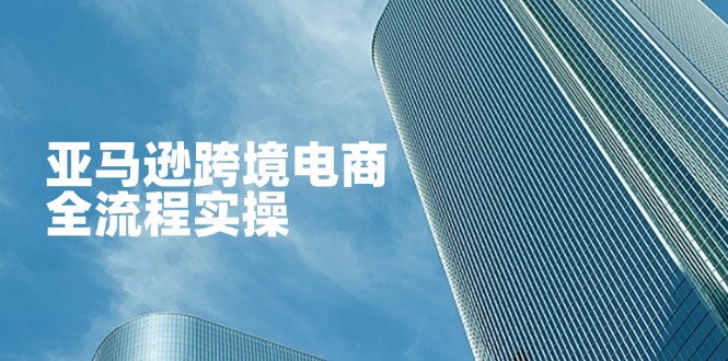 （14252期）亚马逊跨境电商全流程实操，教你从零开始，掌握店铺运营与广告技巧-雨创网-优质项目资源分享平台