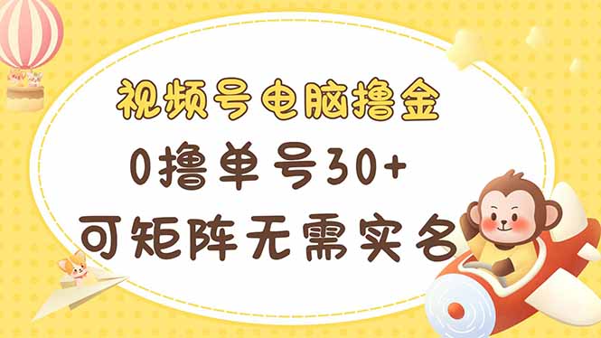 （14220期）视频号电脑撸金 0撸单号30+ 可矩阵 无需实名多号多得-雨创网-优质项目资源分享平台