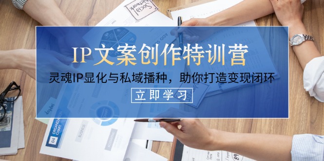 （14330期）IP文案创作特训营，灵魂IP显化与私域播种，助你打造变现闭环（14节课）-雨创网-优质项目资源分享平台