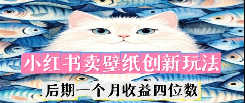 小红书卖壁纸创新玩法，后期一个月收益四位数-雨创网-优质项目资源分享平台
