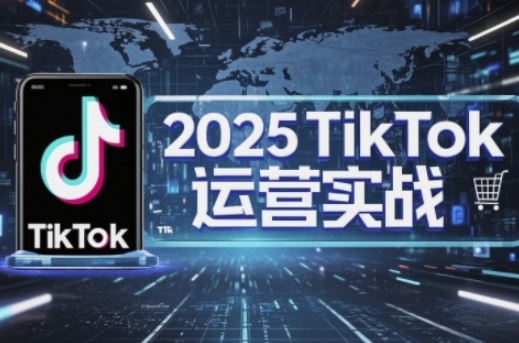 2025TikTok电商运营，掌握TikTok店铺运营核心技巧，实现低成本高转化-雨创网-优质项目资源分享平台