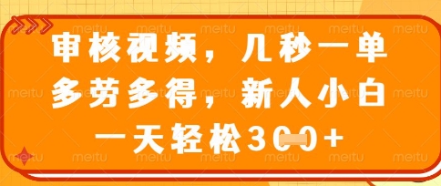 最新审核视频，几秒一单，多劳多得，新人小白一天轻松3张【揭秘】-雨创网-优质项目资源分享平台