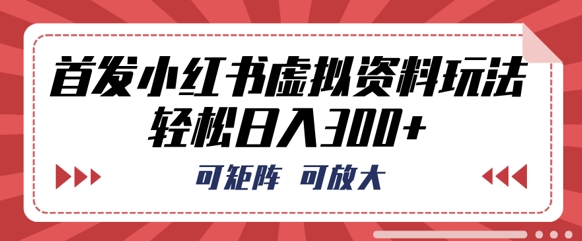 首发小红书虚拟资料玩法，可矩阵，可放大，轻松日入3张-雨创网-优质项目资源分享平台