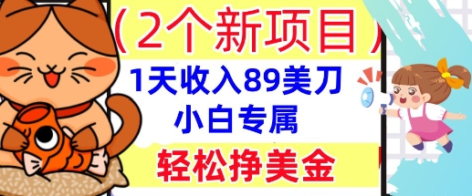 2个新项目，轻松挣美金， 1天收入89美刀，小白专属，干货分享-雨创网-优质项目资源分享平台