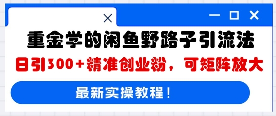 重金学的闲鱼野路子引流法，日引300+精准创业粉，可矩阵放大-雨创网-优质项目资源分享平台