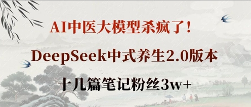 AI中医大模型杀疯了！DeepSeek中式养生2.0版本，十几篇笔记粉丝3w+-雨创网-优质项目资源分享平台