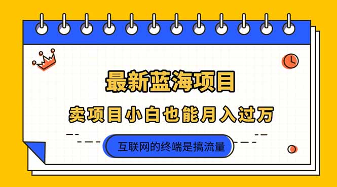 （14289期）2025年最新蓝海项目，卖项目小白也能月入过万-雨创网-优质项目资源分享平台