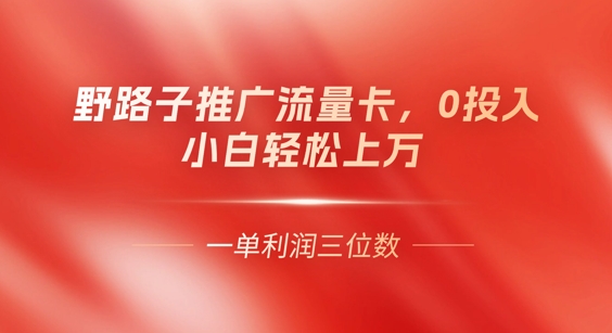 0门槛推广流量卡，一单收益上百，0投入，小白月入过W-雨创网-优质项目资源分享平台