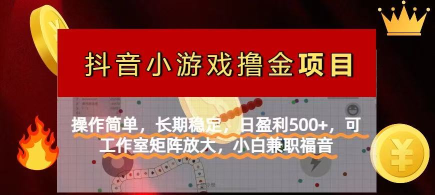 （14290期）【抖音小游戏发行人计划项目】操作简单，长期稳定，日盈利500+，可工作…-雨创网-优质项目资源分享平台