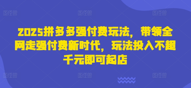 2025拼多多强付费玩法，带领全网走强付费新时代，玩法投入不超千元即可起店-雨创网-优质项目资源分享平台