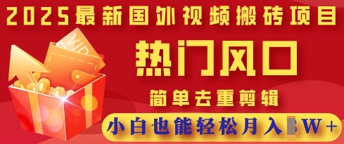 2025最新视频搬砖项目，热门风口，简单去重剪辑，小白也能轻松月入过W-雨创网-优质项目资源分享平台