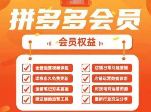 2025拼多多运营实战课，40节全流程教学，覆盖拼多多运营全链路-雨创网-优质项目资源分享平台