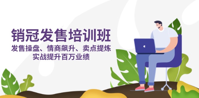 （14203期）销冠 发售培训班：发售 操盘+情商 飙升+卖点 提炼，实战提升百万业绩-雨创网-优质项目资源分享平台