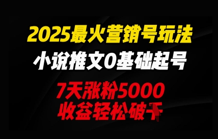 2025最火营销号玩法：小说推文0基础起号，7天涨粉5000，收益轻松破k-雨创网-优质项目资源分享平台