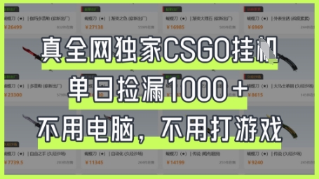 真全网独家CSGO挂G，单日捡漏1k+【揭秘】-雨创网-优质项目资源分享平台