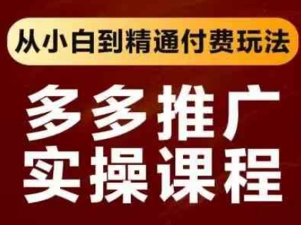 拼多多推广实操课程，从小白到精通付费玩法-雨创网-优质项目资源分享平台