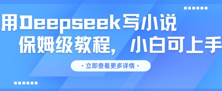 用Deepseek写小说，保姆级教程，小白可实操-雨创网-优质项目资源分享平台