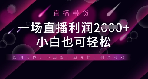 半无人直播带货，一场利润数张，适合所有平台玩法，小白也可轻松-雨创网-优质项目资源分享平台