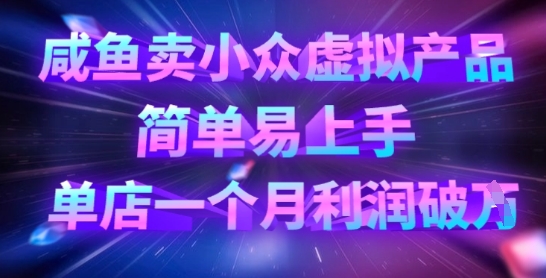 咸鱼卖小众虚拟产品，简单易上手，单店一个月利润破W-雨创网-优质项目资源分享平台