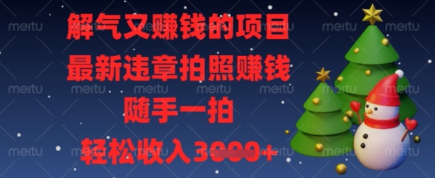 解气又挣钱的项目，最新违章拍照挣钱，随手一拍，轻松收入数张【揭秘】-雨创网-优质项目资源分享平台